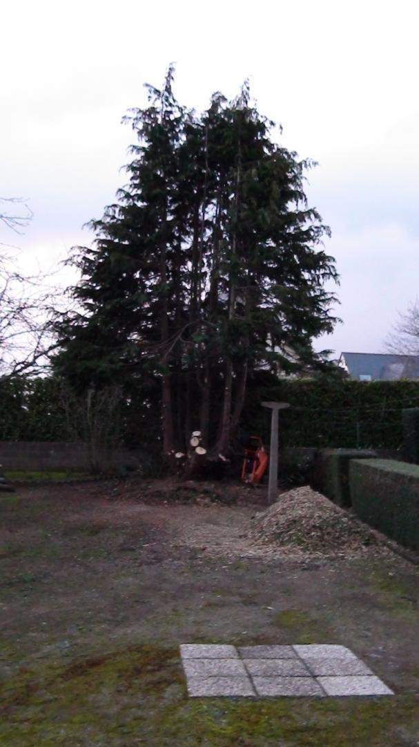 Travaux d'élagage Pordic