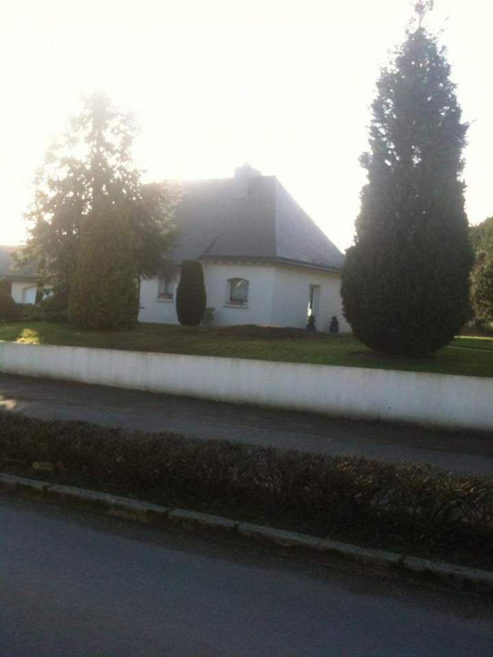 Travaux d'élagage Pordic