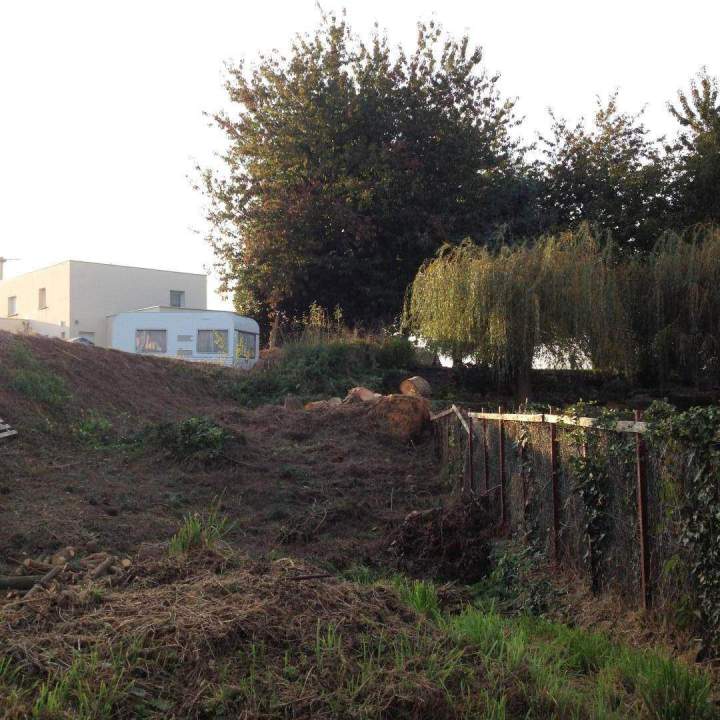 Taille et entretien des arbres Pordic