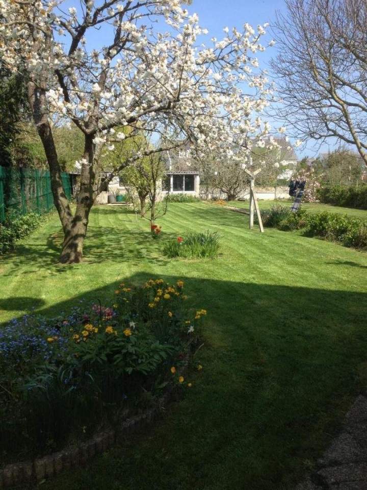 Services d’entretien paysager Pordic