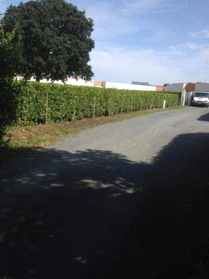 Nettoyage et entretien de jardin Pordic