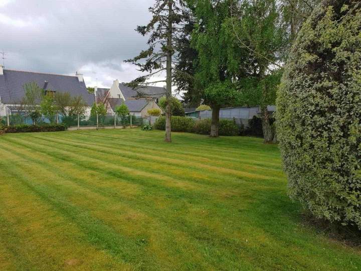 Nettoyage et entretien de jardin Pordic