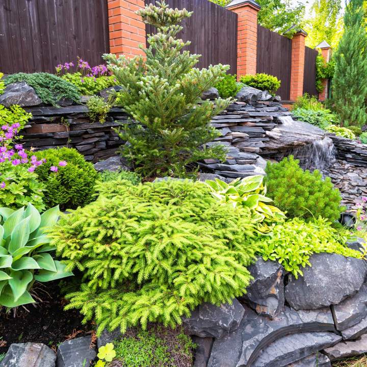 Création paysagère Pordic