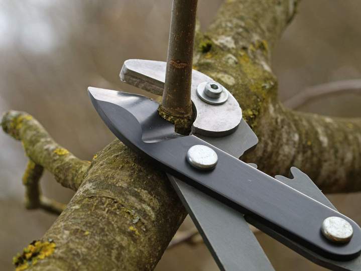 Travaux d’élagage Pordic